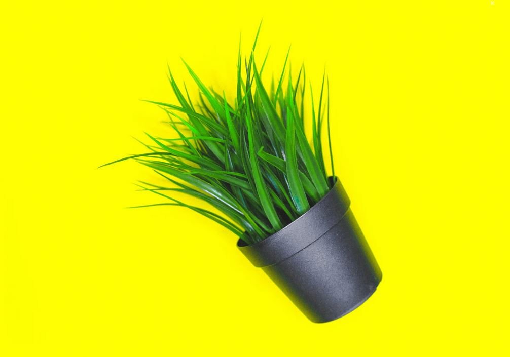 une petite plante artificielle sur fond jaune fluo