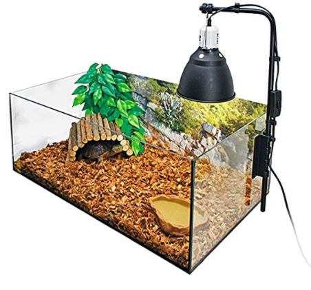 terrarium Exoterra pour tortue